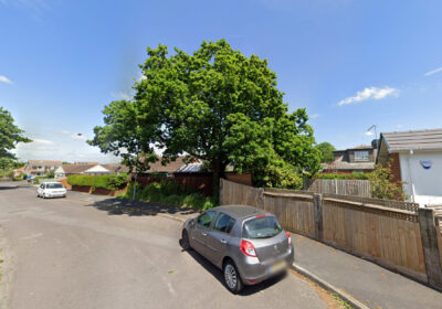 The mature oak is set to be cut down after being 'maliciously' damaged, says Dorset Council