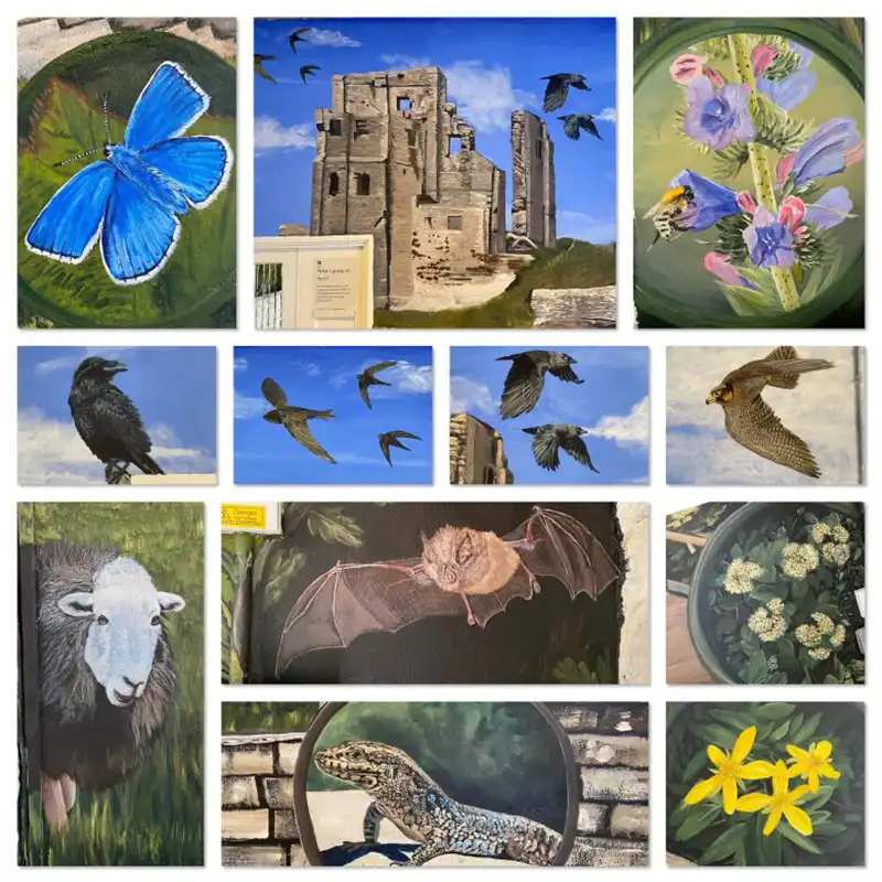 Wildlife featured in Mark's mural at Corfe Castle. Picture: National Trust/Mark Newton