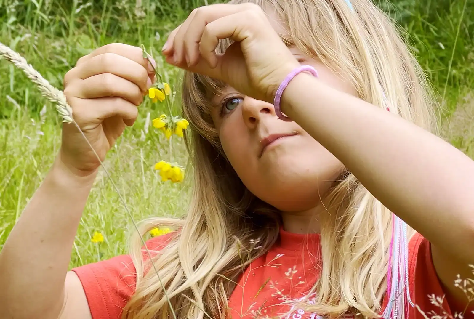 Young people from Purbeck were the stars of Let's Go Wild, which premiered at the Planet Purbeck Festival
