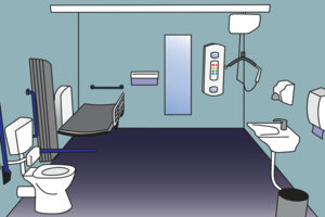 Example of a Changing Places toilet. Photo: Gov.uk.