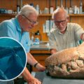 Sir David Attenborough and Steve Etches examine the fossilised snout of a pliosaur. Picture: BBC Studios