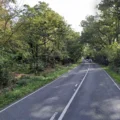 The crash happened on the A35 near Bloxworth. Picture: Google