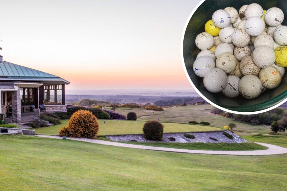 Swanage firefighters collected dozens of golf balls after a call to the Isle of Purbeck Golf Club