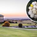 Swanage firefighters collected dozens of golf balls after a call to the Isle of Purbeck Golf Club