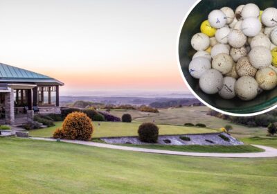 Swanage firefighters collected dozens of golf balls after a call to the Isle of Purbeck Golf Club