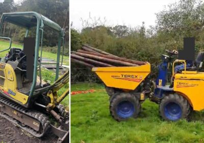 The plant was stolen from a field in Christchurch in the early hours of Sunday morning. Pictures: Dorset Police