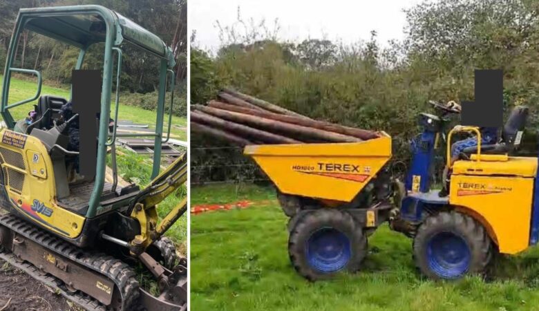The plant was stolen from a field in Christchurch in the early hours of Sunday morning. Pictures: Dorset Police