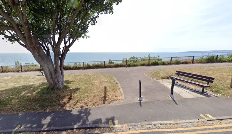 The victim was sitting on a bench near Branksome beach when the incident occurred, police said. Picture: Google