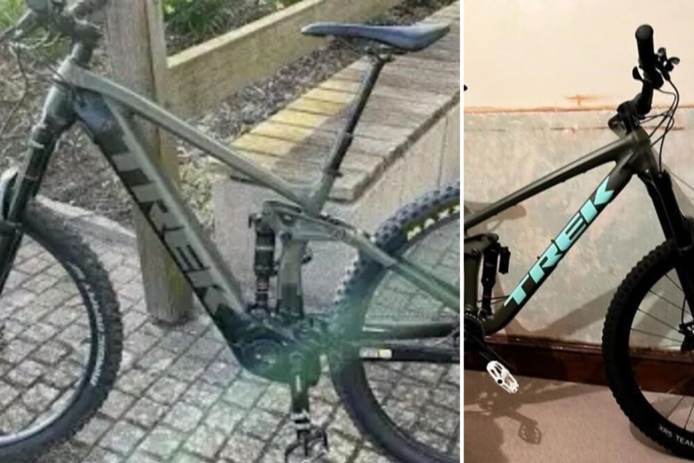 The bikes were stolen from a shed in Wareham. Picture: Dorset Police
