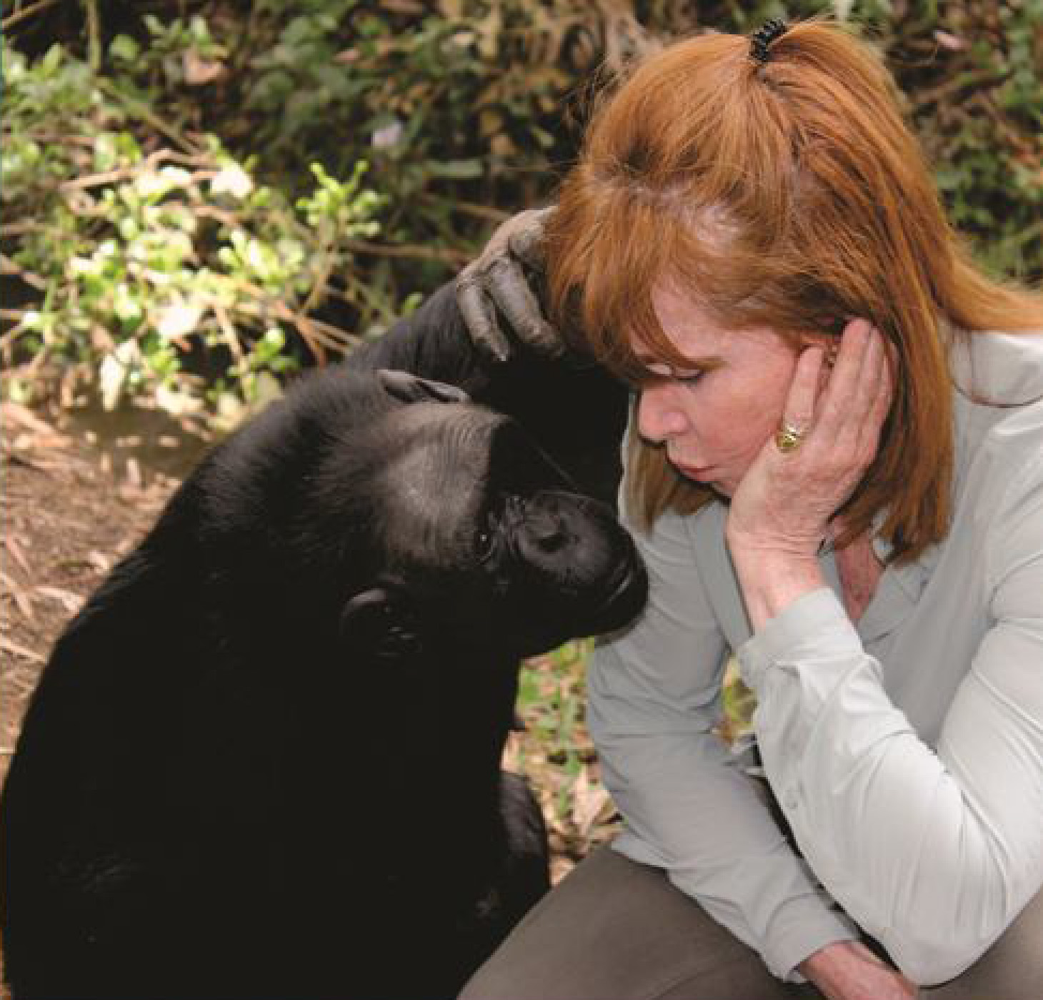 Stefanie Powers with Chocolat in 2013 Picture: S Powers