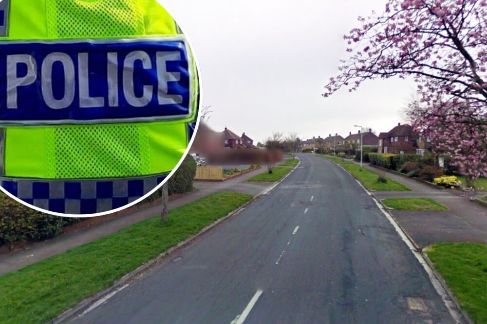 Vandals targeted a property in Mellstock Avenue, Dorchester, police said. Picture: Google