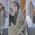 Hundreds of pounds worth of goods have been stolen from Boots in Christchurch. Pictures: Dorset Police