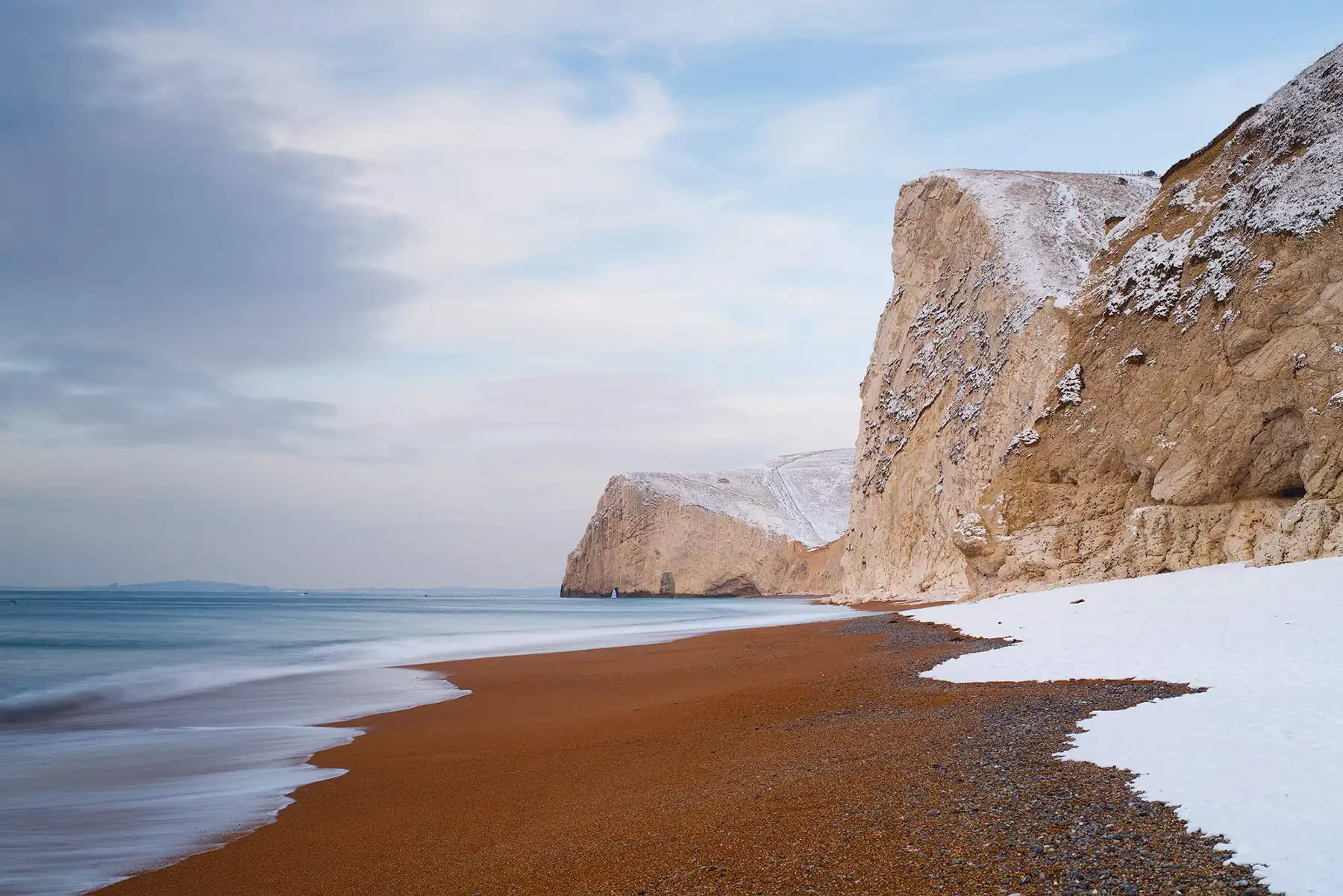 Andy's award-winning photo, Bat’s Head in the Snow. Picture: Andy Farrer