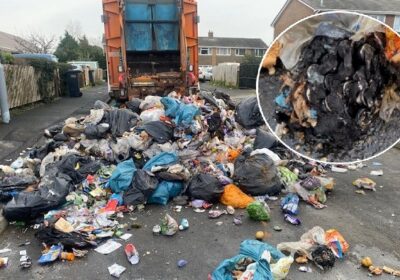 The lorry caught fire in Ferndown yesterday (January 29) Picture: DCWS