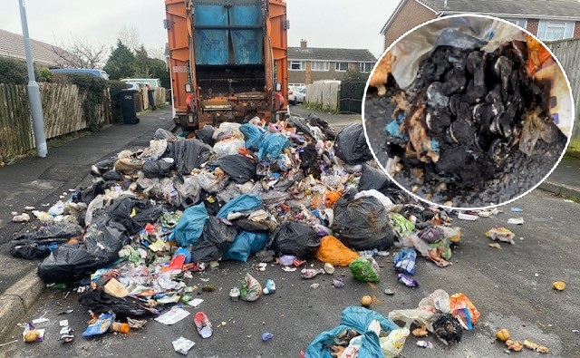 The lorry caught fire in Ferndown yesterday (January 29) Picture: DCWS