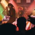 Picture: Wilkswood Reggae Festival