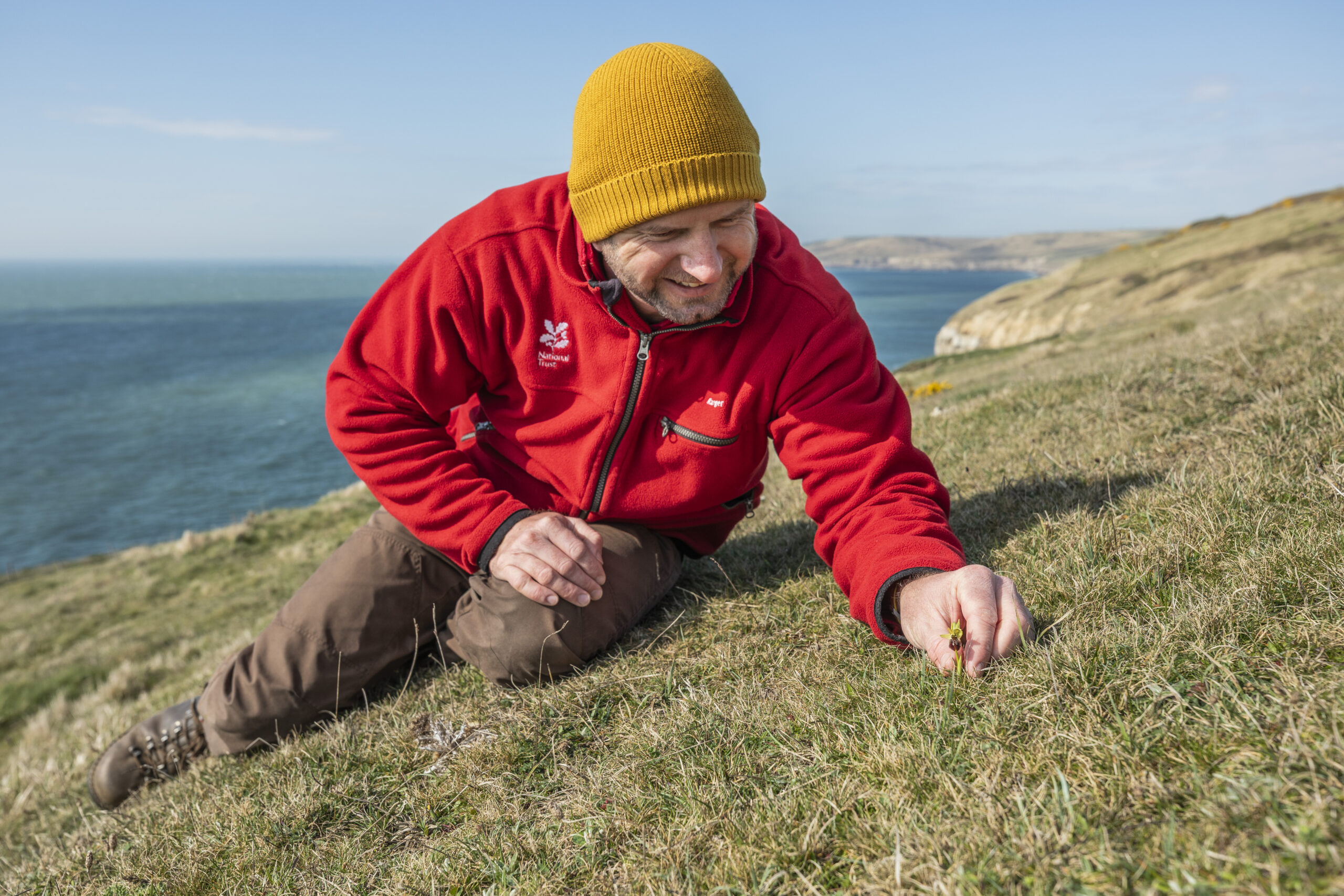 A National Trust ranger looking at an early spider orchid spotted at the site Picture: National Trust/James Dobson
