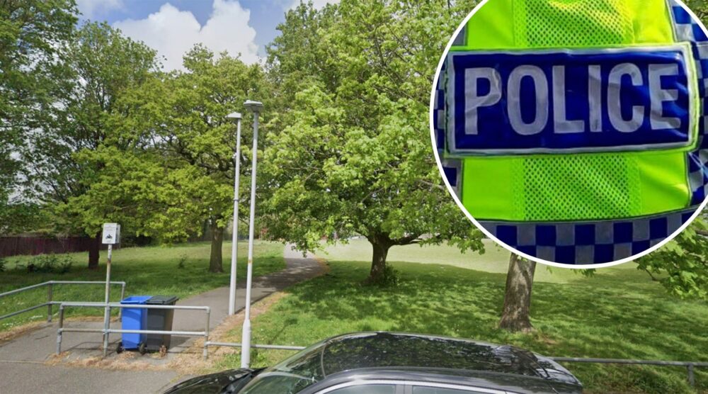 The incidents unfolded at Turlin Moor Recreation Ground in Poole. Picture: Google