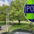 The incidents unfolded at Turlin Moor Recreation Ground in Poole. Picture: Google