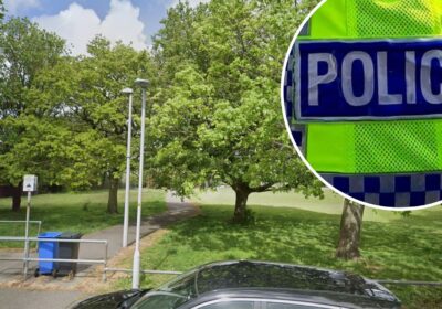 The incidents unfolded at Turlin Moor Recreation Ground in Poole. Picture: Google