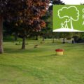 Judges commended the use of sustainable practices Picture: Swanage Town Council