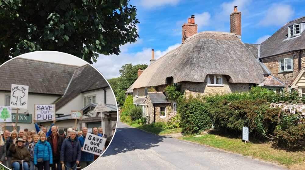 The pub reopened on July 14 Pictures: Friends of The Elm Tree/Crowdfunder