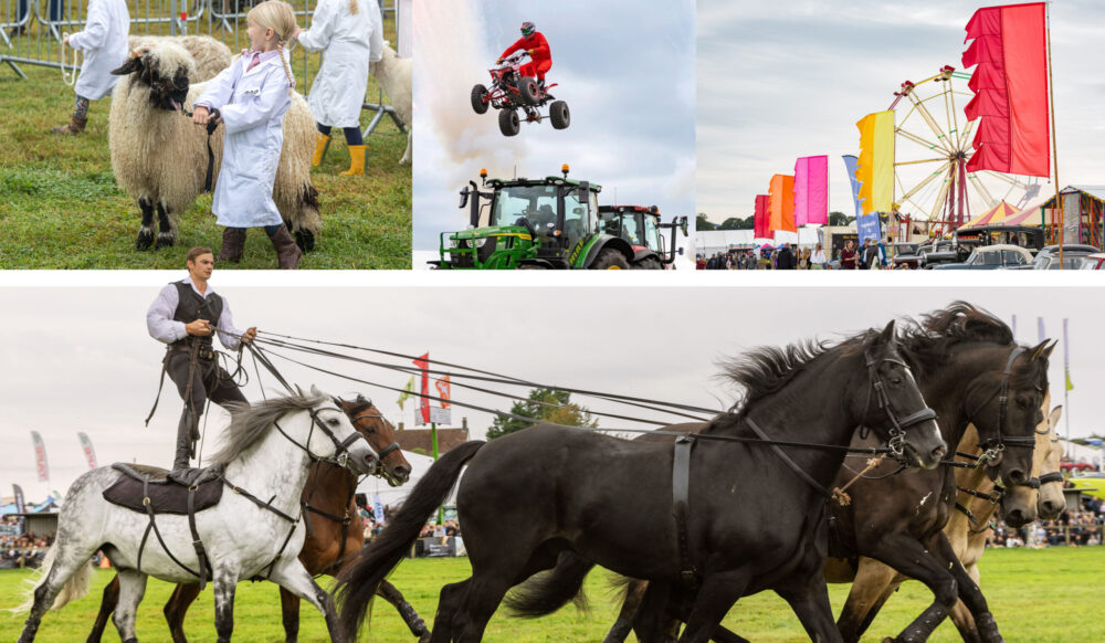 Stunt riders, action horses, livestock and live music awaits attendees Pictures: Dorset County Show