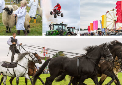 Stunt riders, action horses, livestock and live music awaits attendees Pictures: Dorset County Show