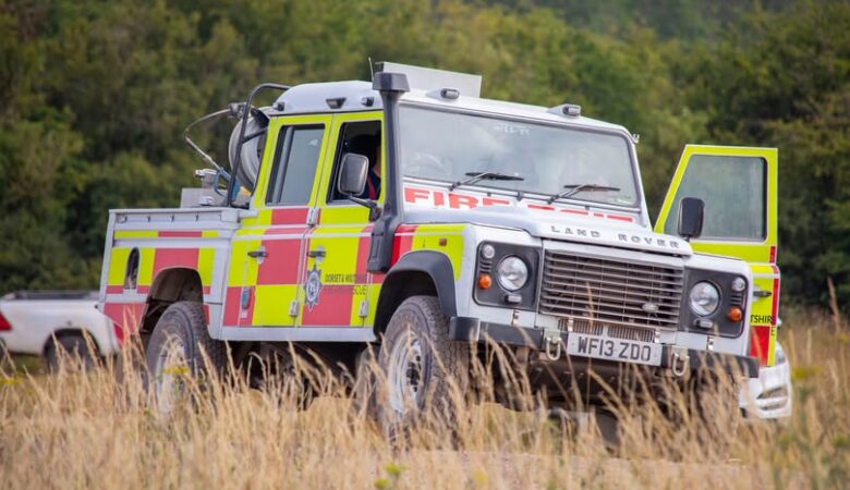 The cause of the fires have not yet been identified Picture: DWFireRescue