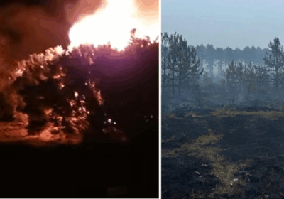 The Newton Heath blaze devasted heathland around the size of 30 football pitches Pictures: Swanage Fire Station